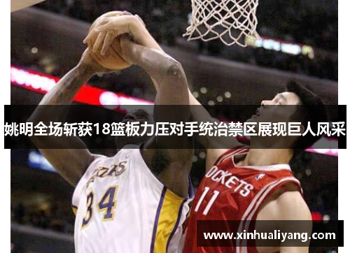 姚明全场斩获18篮板力压对手统治禁区展现巨人风采