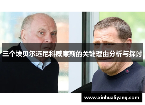三个埃贝尔选尼科威廉斯的关键理由分析与探讨