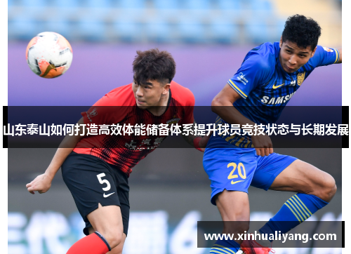 山东泰山如何打造高效体能储备体系提升球员竞技状态与长期发展